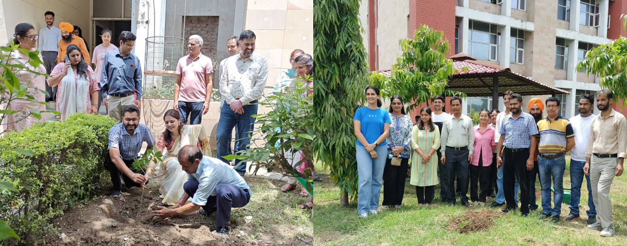 The Department of Biochemistry and Biophysics celebrated Kargil Vijay Diwas by conducting a tree plantation drive.